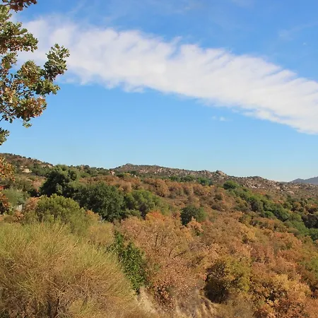 Des Orgues D'ille Les Agaves Canigou * Ille-sur-Têt