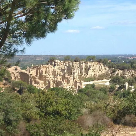 Des Orgues D'ille Les Agaves Canigou * Ille-sur-Têt