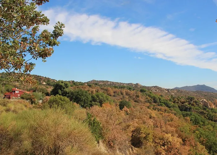 Des Orgues D'ille Les Agaves Canigou * Ille-sur-Têt