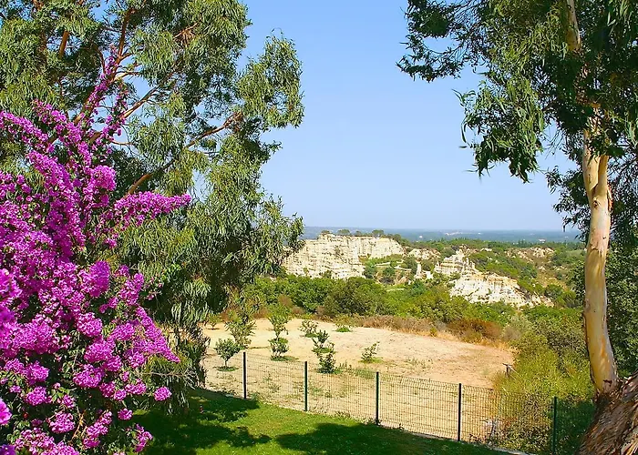 Des Orgues D'ille Les Agaves Canigou *