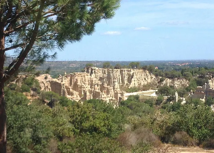 Des Orgues D'ille Les Agaves Canigou * Ille-sur-Têt